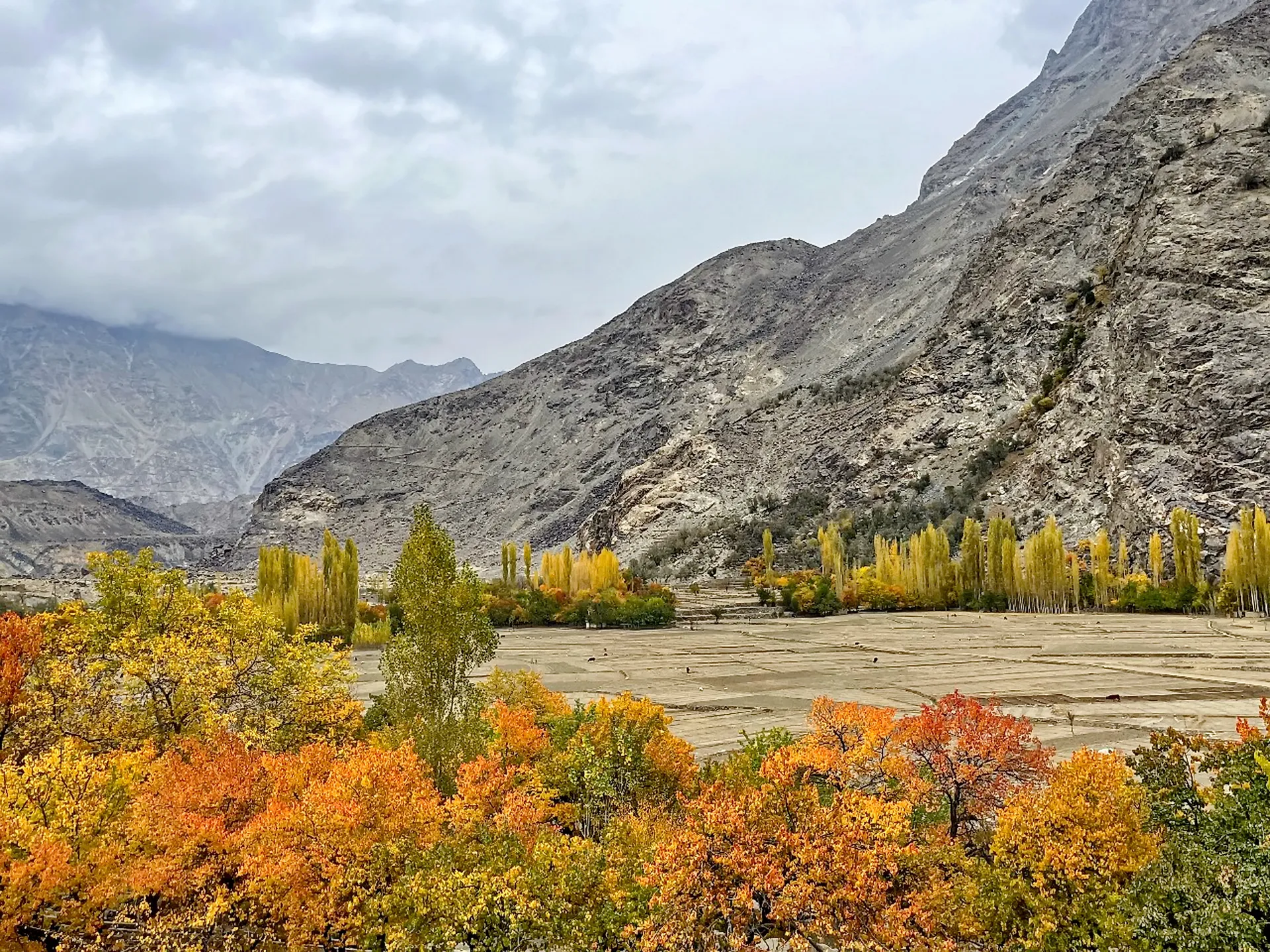 Autumn poplars in a Gilgit-Baltistan valley