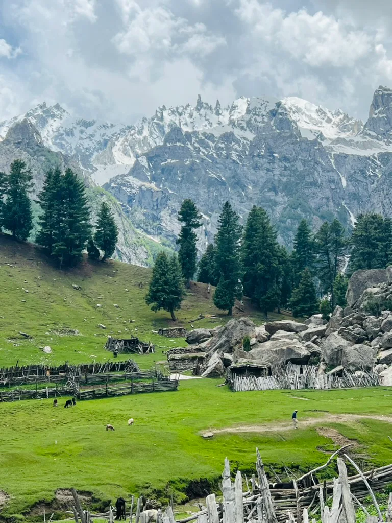 Timber stock pens and low stone shelters at the Kutwal summer settlement