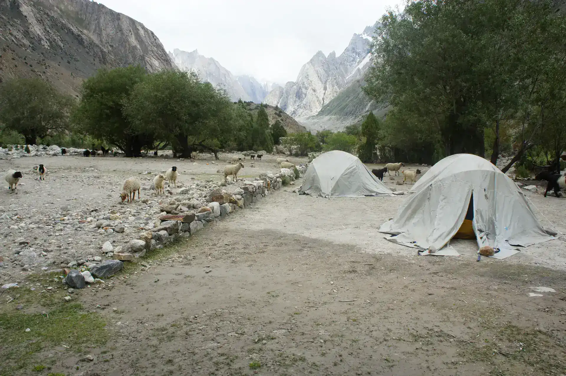 Saicho camp where the Charakusa and Gondogoro valleys meet, on the way to Gondogoro Peak