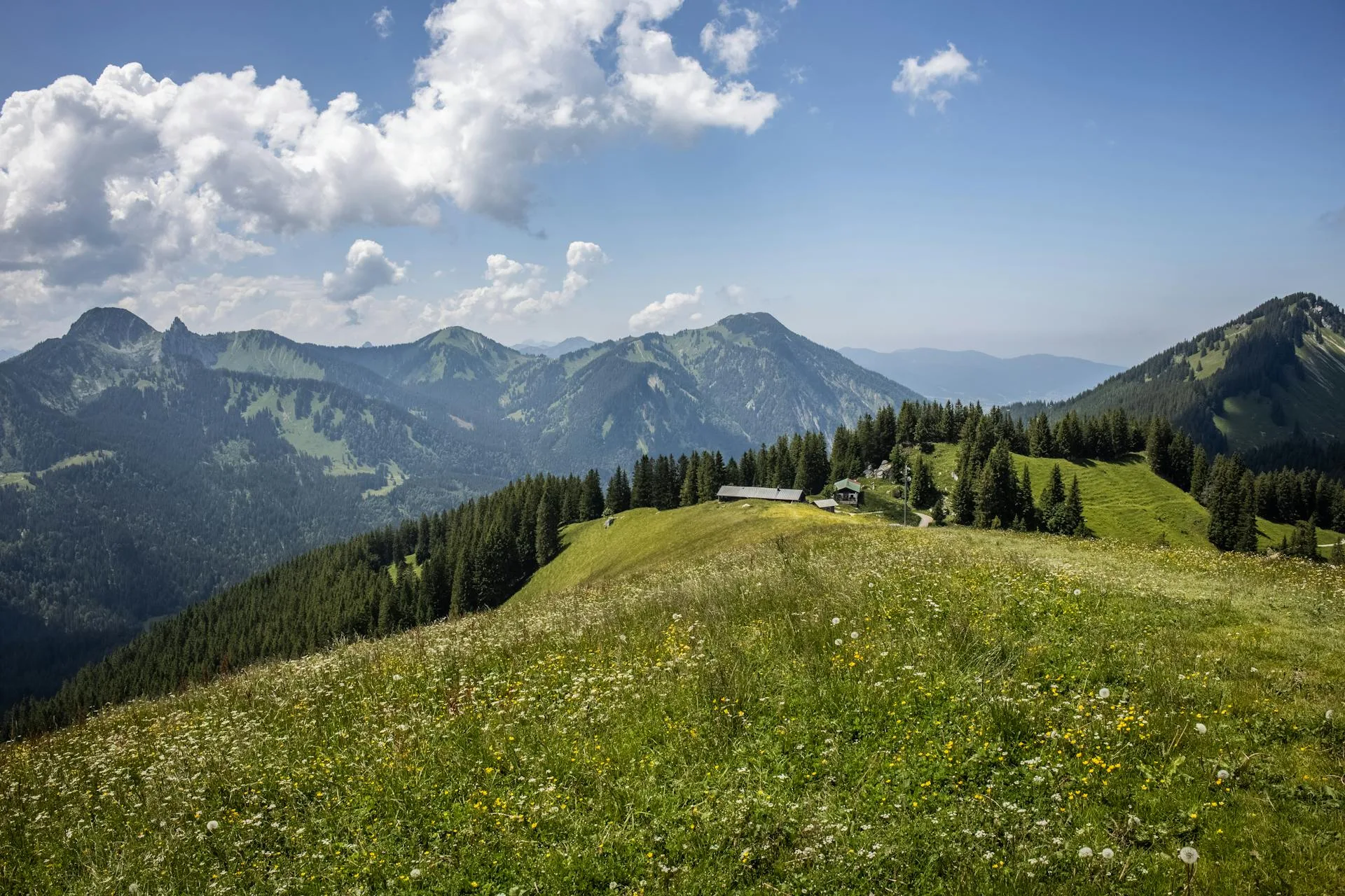 Alpine mountains meadows