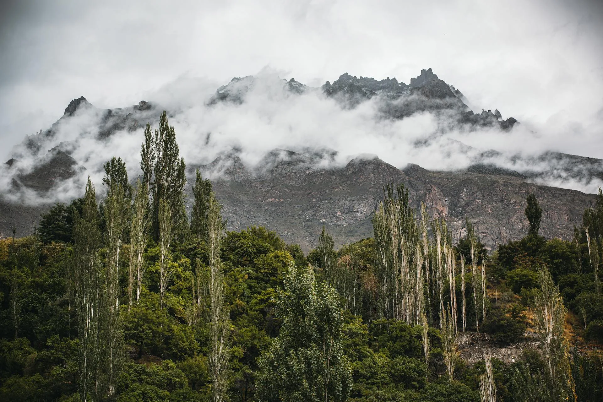 Green hill mountains