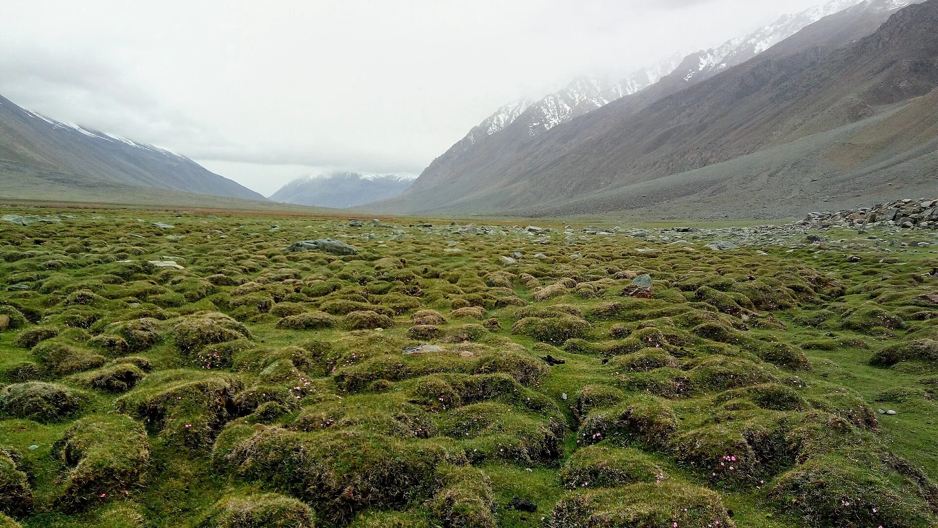 The broad green Shandur valley on the road between Chitral and Gilgit