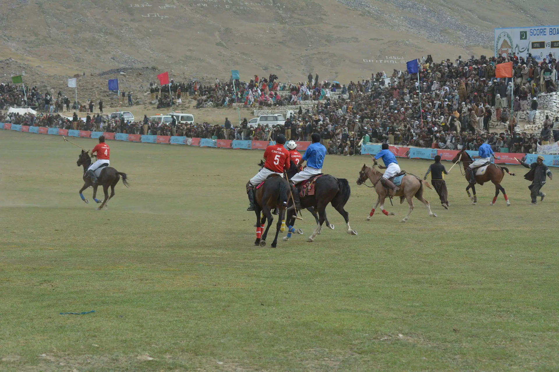 Polo ponies on the Shandur plateau field
