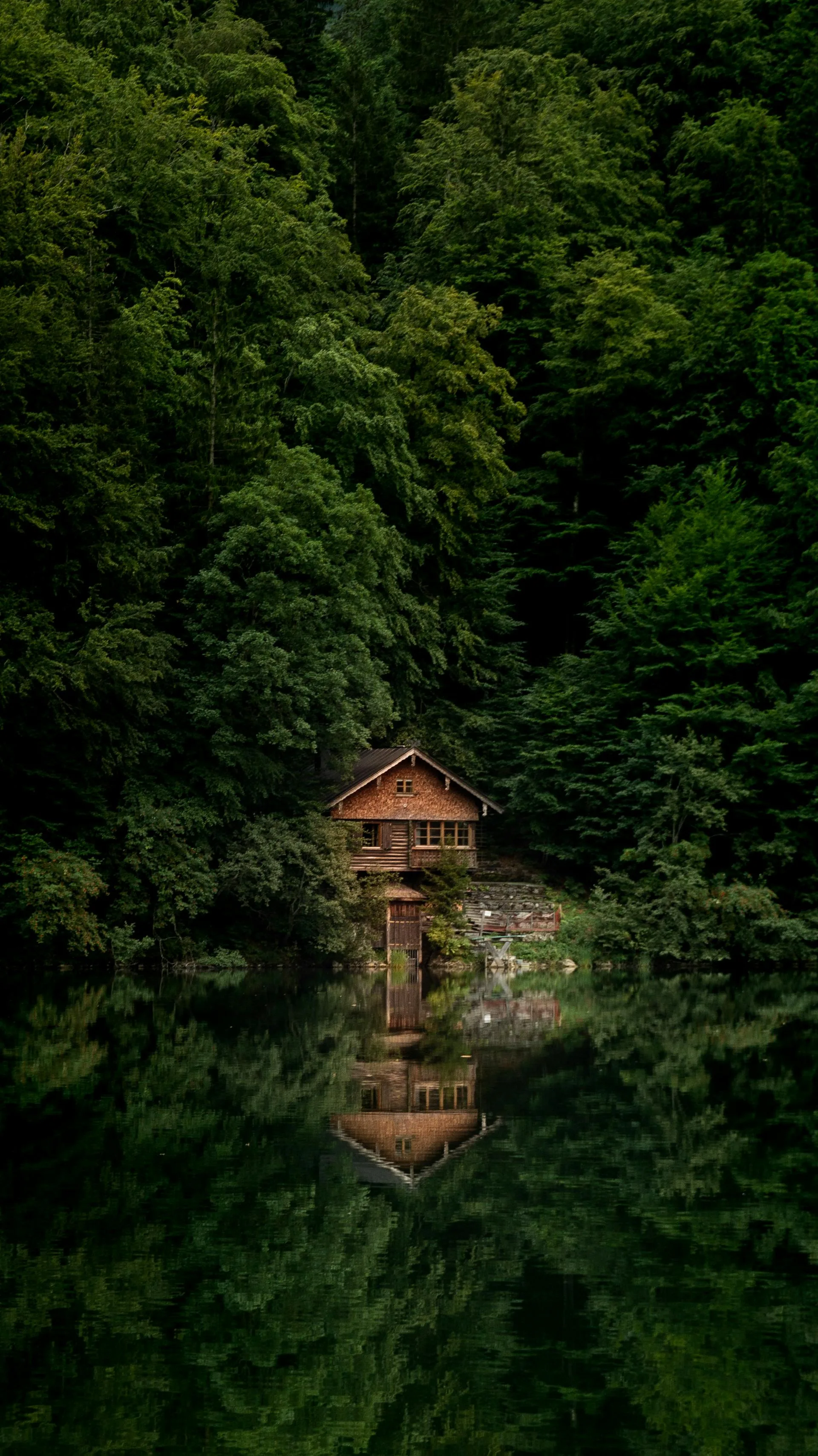 Rustic cabin at tranquil forest lake