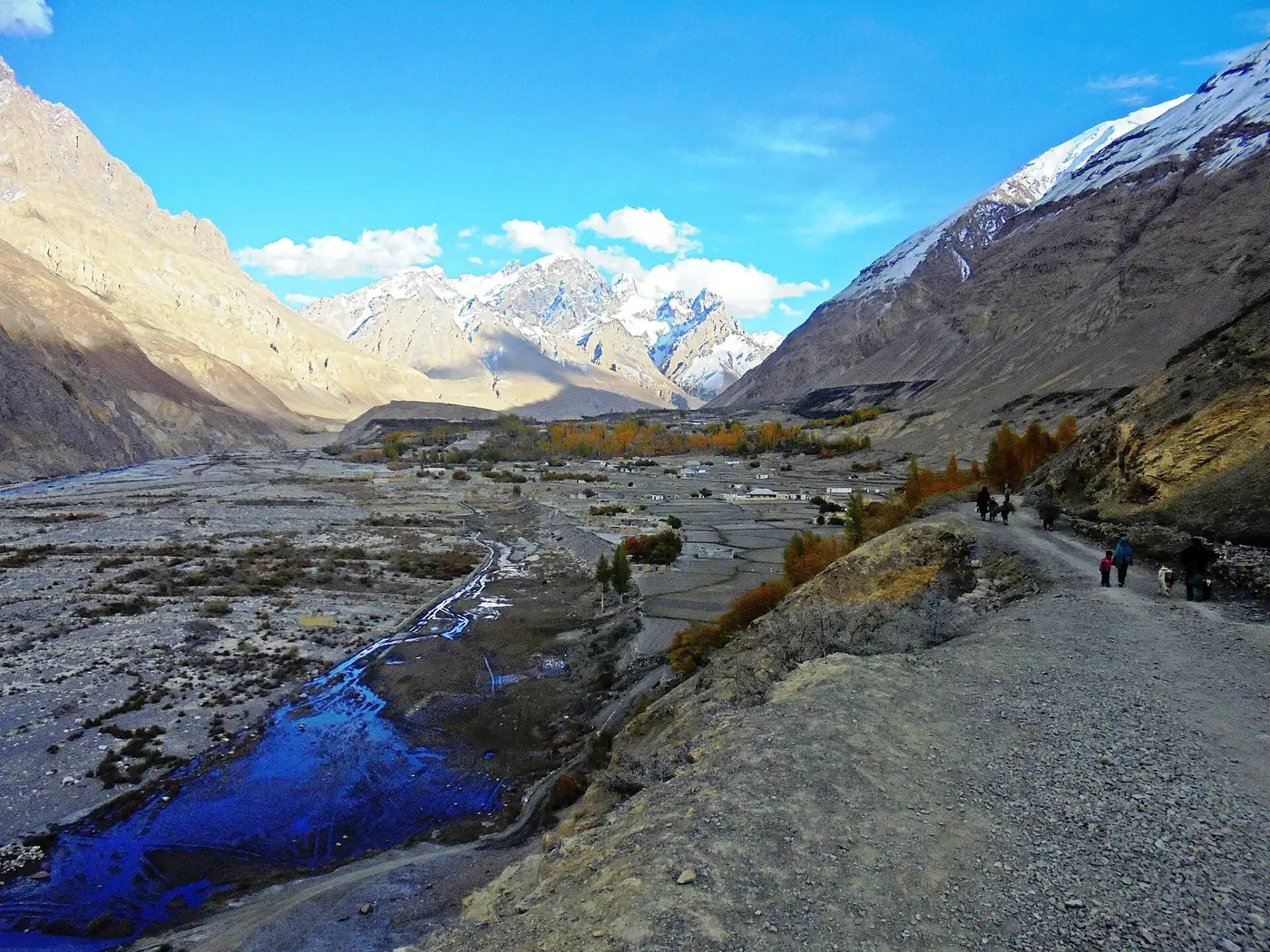 Herbstliche Pappeln entlang des Weges durch Shimshal zur Zeit des Almabtriebs im Oktober
