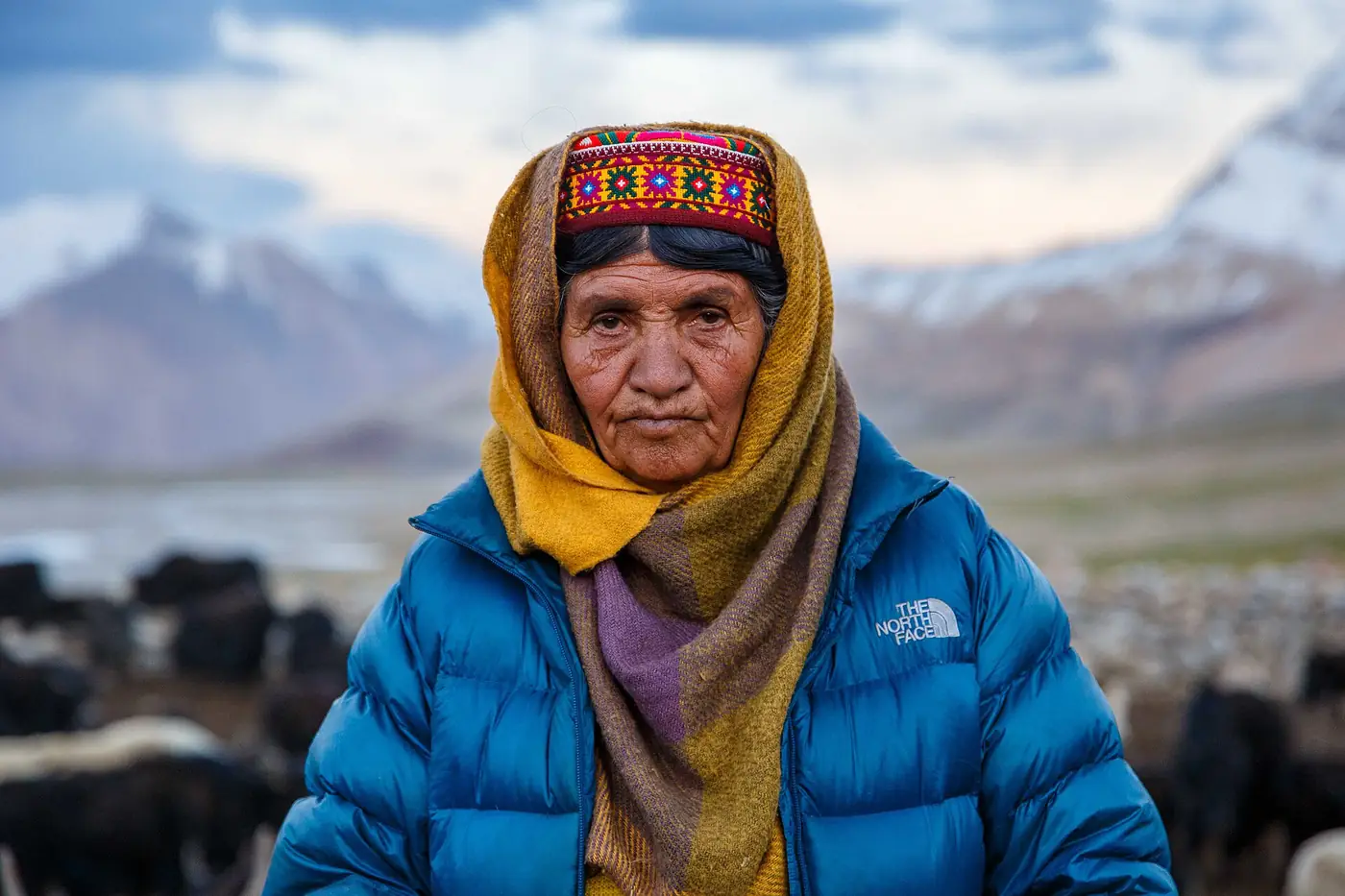 Eine Wakhi-Hirtin zählt ihre Yaks in Shuwert, der Sommerweide auf dem Shimshal-Pamir
