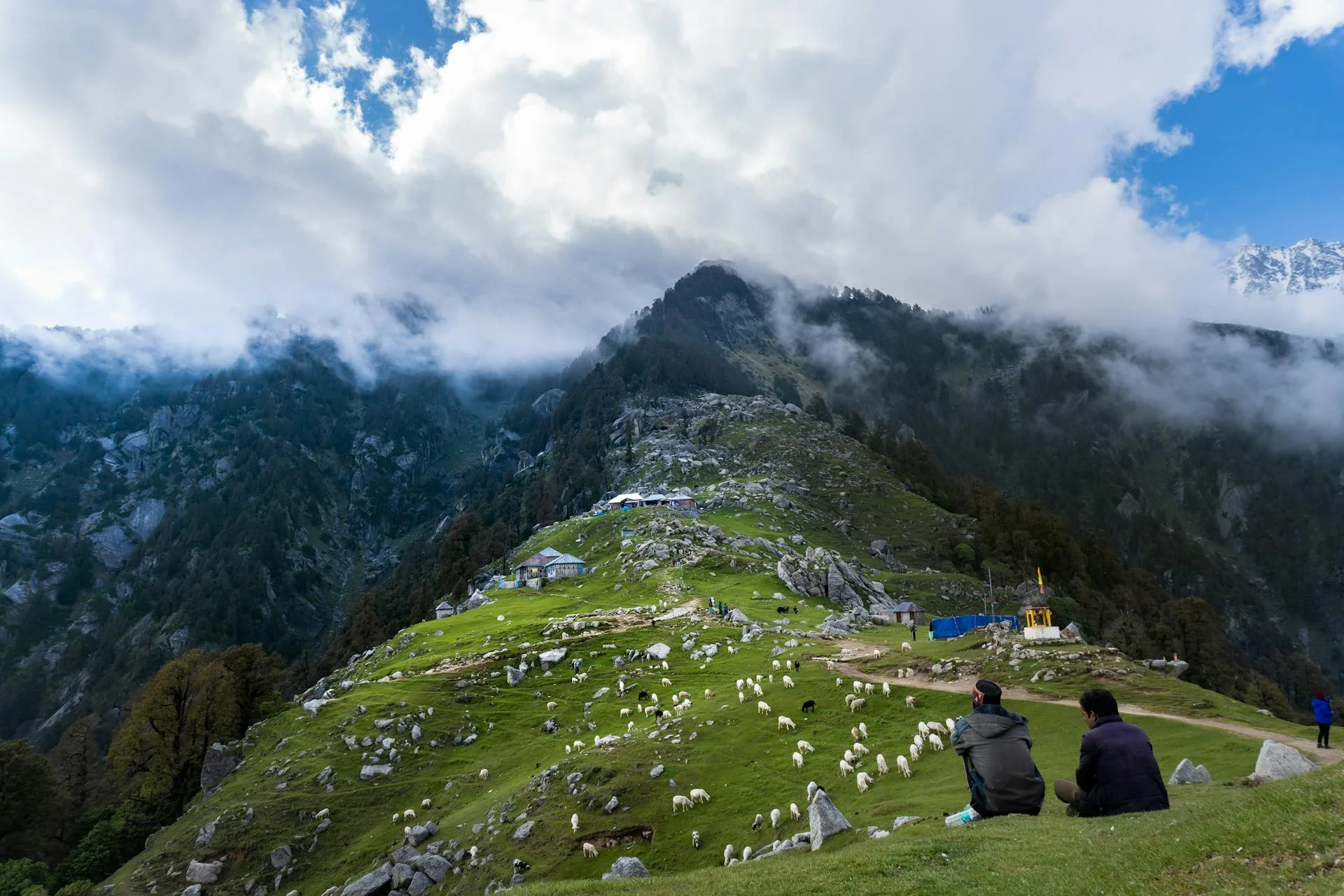 A Wakhi yak caravan carrying loads on the trek to the Shimshal Pamir