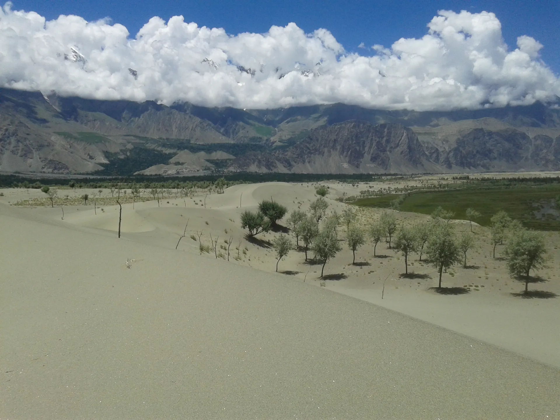 Sand dunes of the Katpana Cold Desert against the Skardu mountains