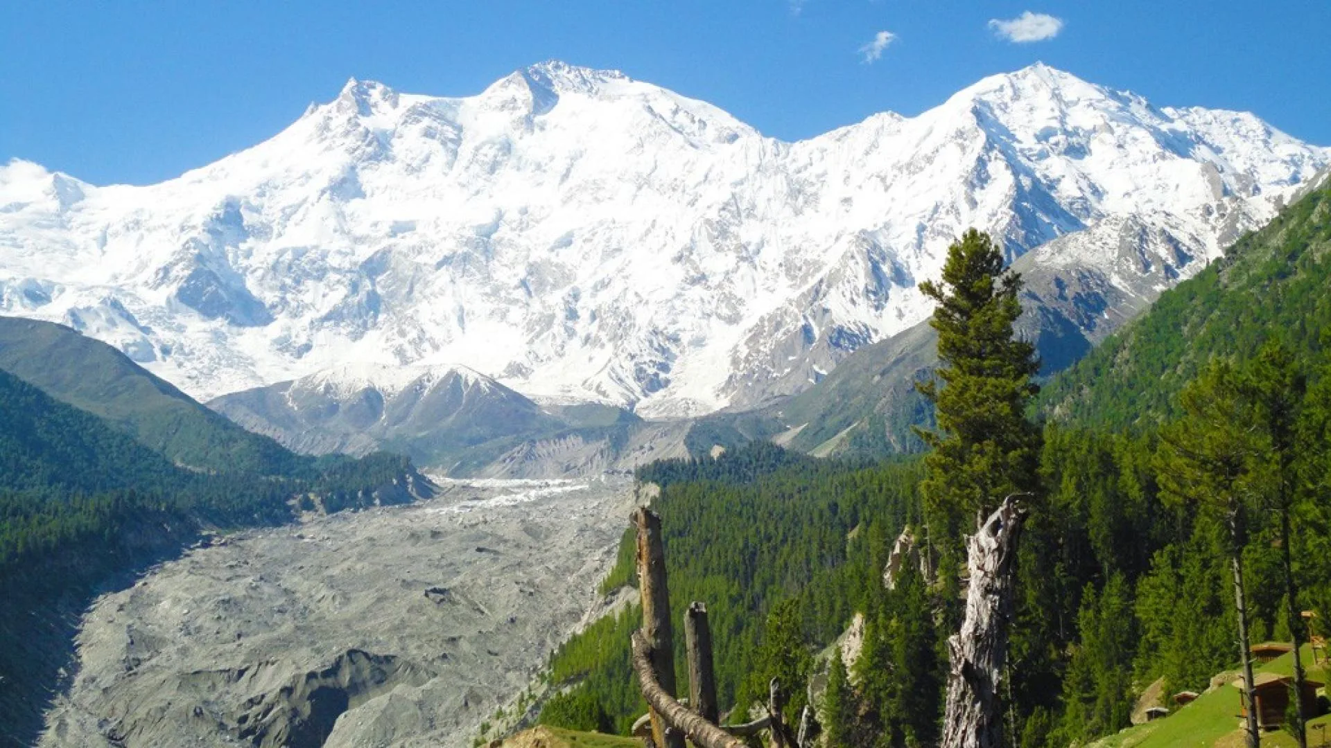 Nanga Parbat snow-capped peak above lush green alpine meadows and rocky terrain at Fairy Meadows