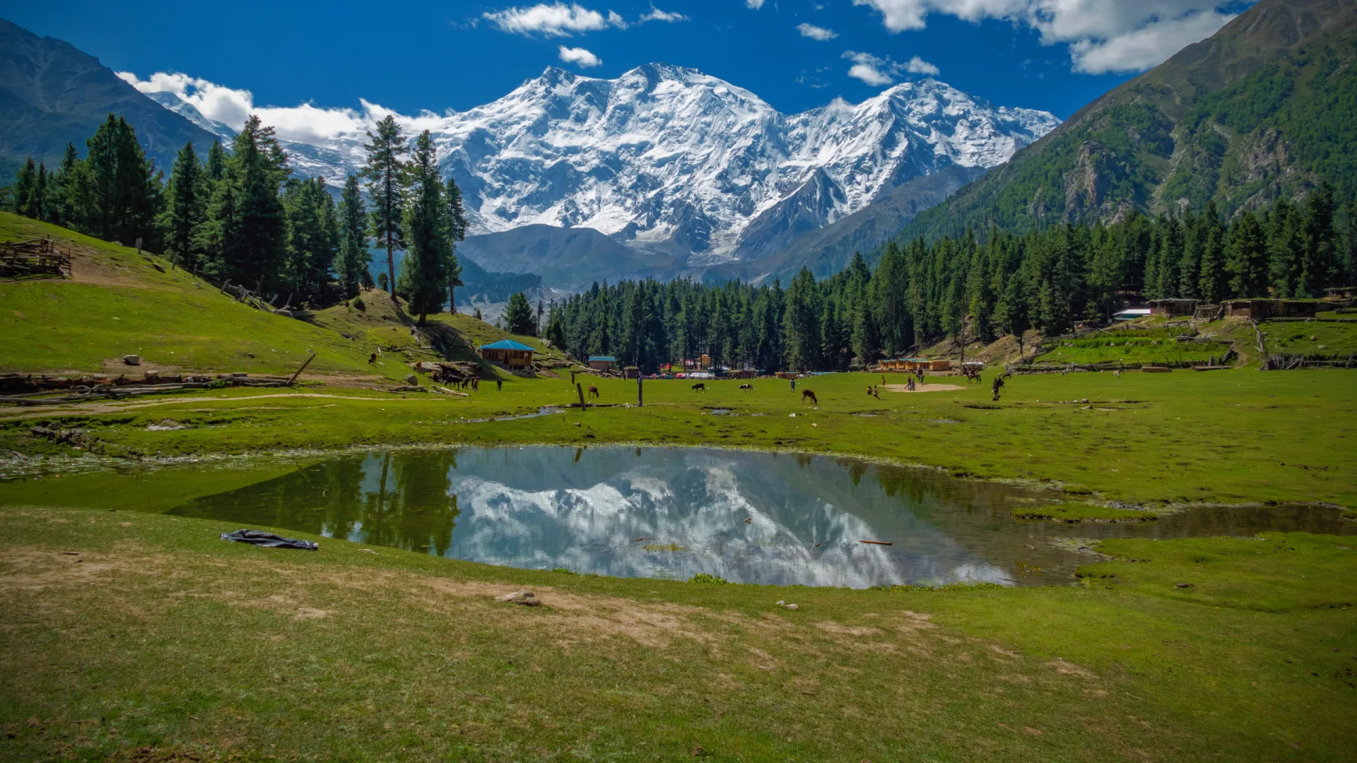 Climber silhouette with arms spread wide against Nanga Parbat massive snow wall, Fairy Meadows Pakistan